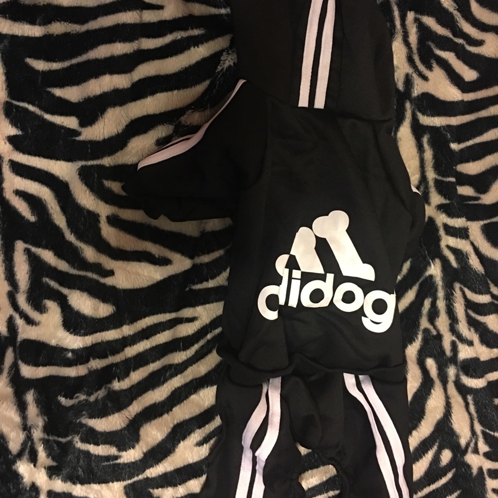 Adidog - Picture 3 of 3